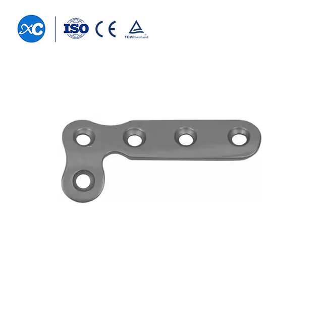 Palma L g&ouml;rn&uuml;şli tabak