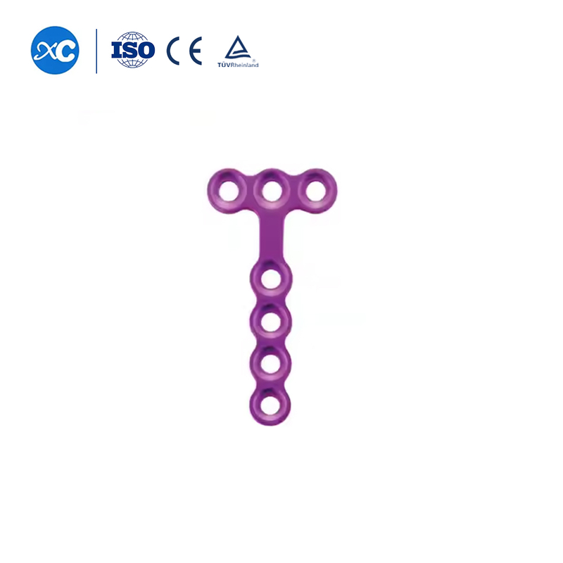 1.5 Aɖuɖɔtoe ƒe Micro T-Plate