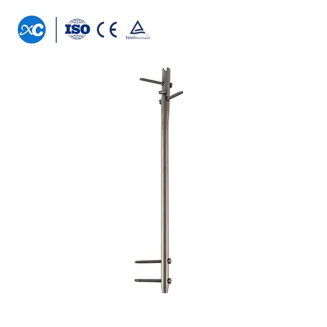 U&ntilde;naqa Intramedular Humeral ukaxa 