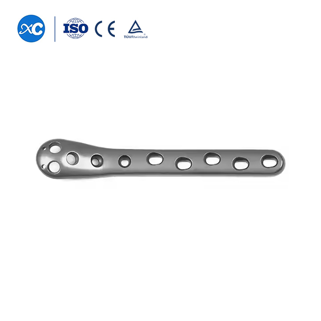 צלחת קונדילוס פרוקסימלית עצם הירך