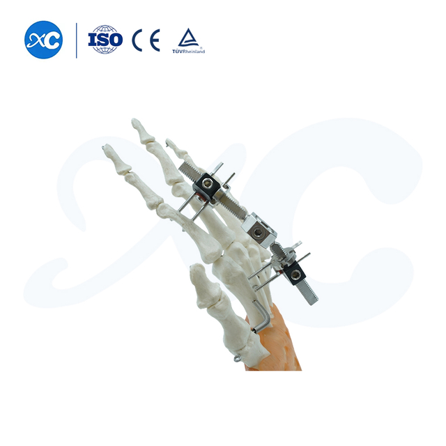 Mini d&uuml;zediji bilelikd&auml;ki hereket g&ouml;rn&uuml;şi