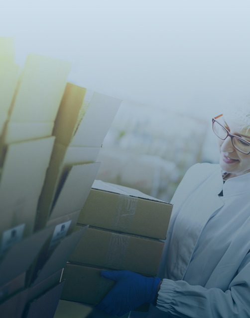 Rapid Global жеткирүү