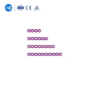 2.4 ಪುನರ್ನಿರ್ಮಾಣ ಲಾಕ್ ಪ್ಲೇಟ್