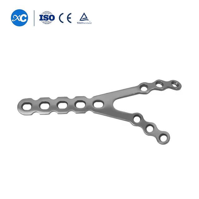 ޑިސްޓަލް ހިއުމަރަލް އެސްޓީ ޕްލޭޓް