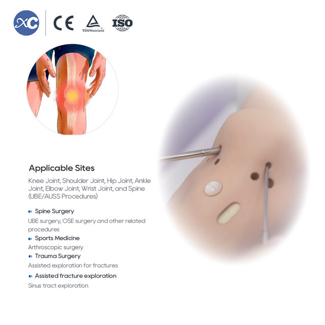 Arthroscope jetable | M&eacute;decine du sport et colonne vert&eacute;brale | XC M&eacute;dico