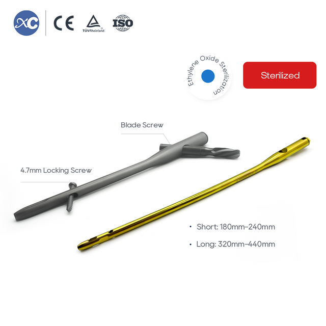 PFNA ಇಂಟ್ರಾಮೆಡುಲ್ಲರಿ ನೈಲ್ | ಪ್ರಾಕ್ಸಿಮಲ್ ಎಲುಬು ಮುರಿತದ ಸ್ಥಿರೀಕರಣ