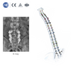 MLD Հոդակապ հետ քաշող հավաքածու | Micro Lumbar Discectomy գործիքներ